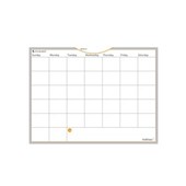 ATAGLANCE WALLMATES MONTHLY PLANNER 450 X 600MM
