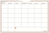 ATAGLANCE WALLMATES MONTHLY PLANNER 600 X 900MM
