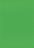 KASKAD COLOURED PAPER A4 225GSM WOODPECKER GREEN PACK 12